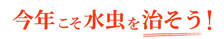 今年こそ水虫を治そう!